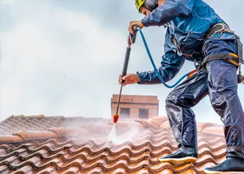 Entretien de toiture